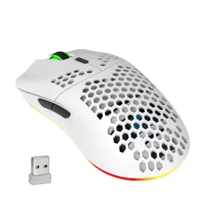 Mouse Gaming HXSJ T66W
