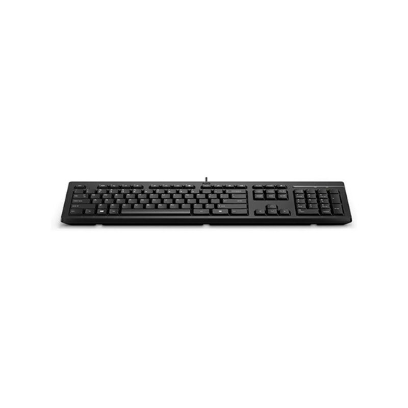 Teclado Hp 125 USB Tipo A Por Cable Negro Ingles