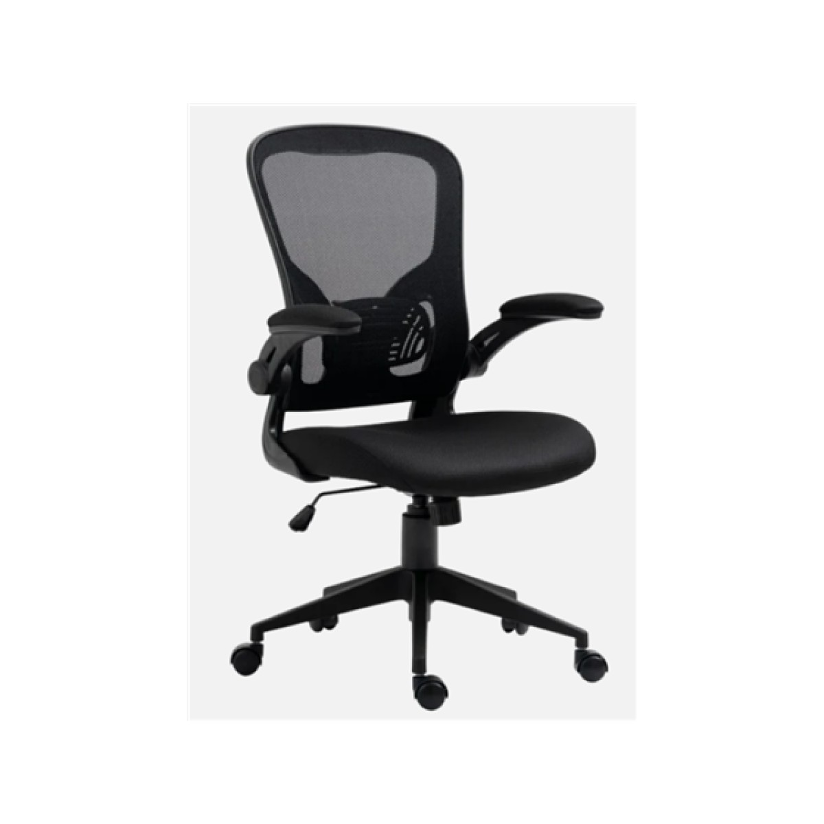 Silla De Oficina Myo Con Reposabrazos Respaldo Lumbar Nylon Asiento Acolchado