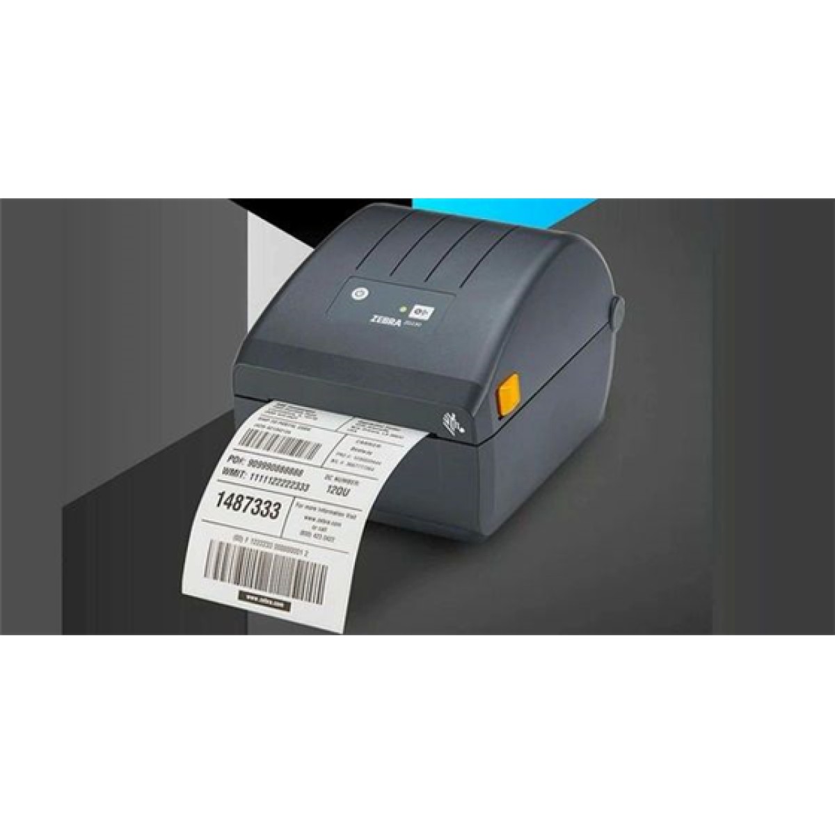 Impresora Zebra Zd230D 4" Termica Directa USB 203 Dpi