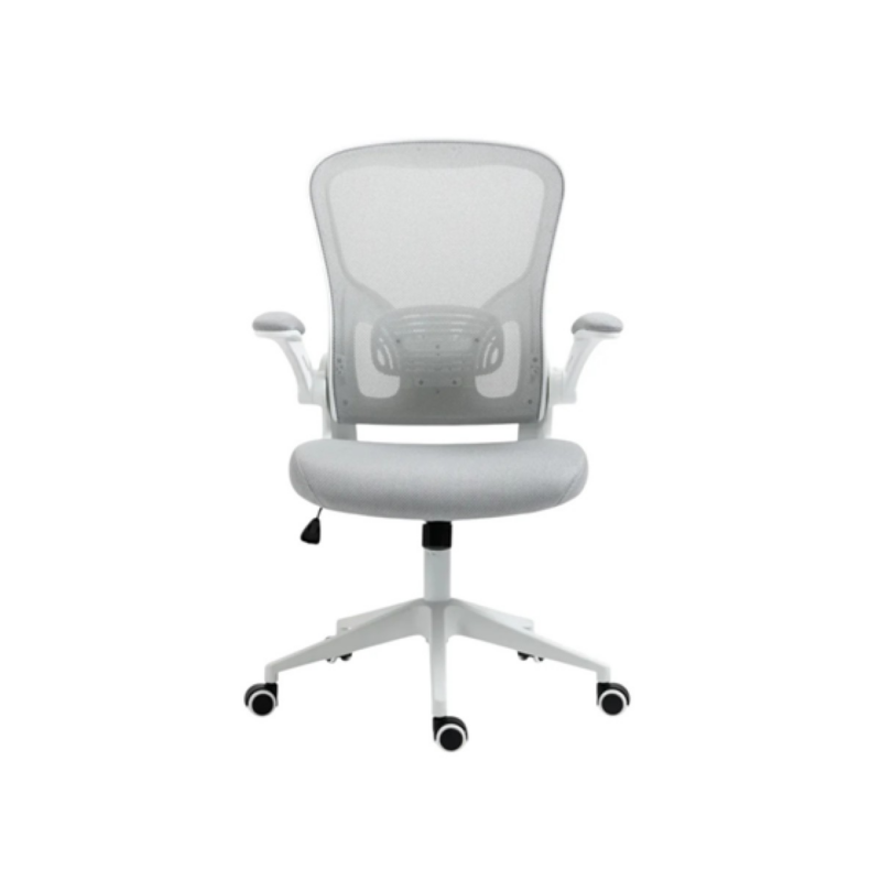 Silla De Oficina Myo Con Reposabrazos Respaldo Lumbar Nylon Asiento Acolchado Foam Gris