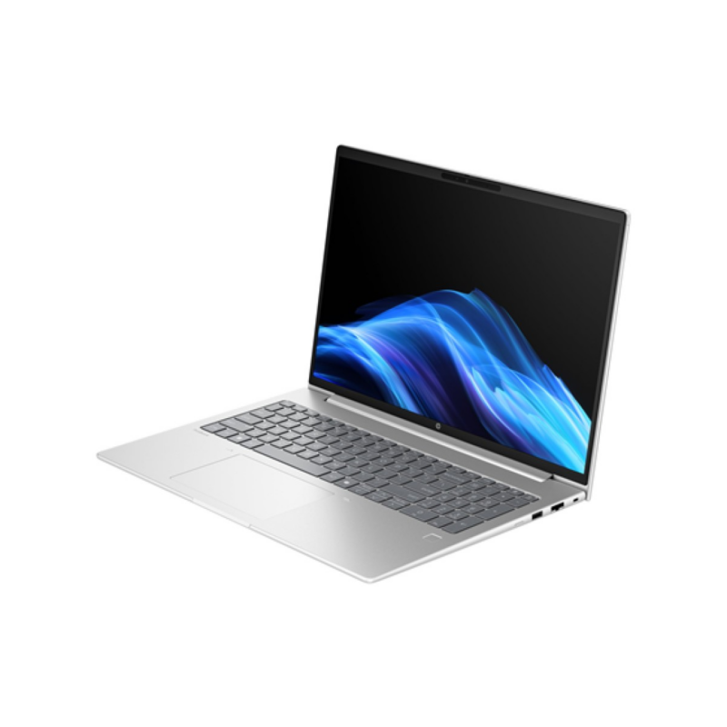Laptop Hp Probook 4 G1A 14" IPS Wuxga Ryzen 7 250 16Gb 512Gb