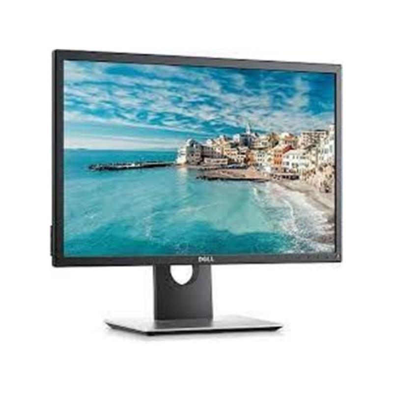Monitor Dell P2410T 24" Vga Dvi Refurbished