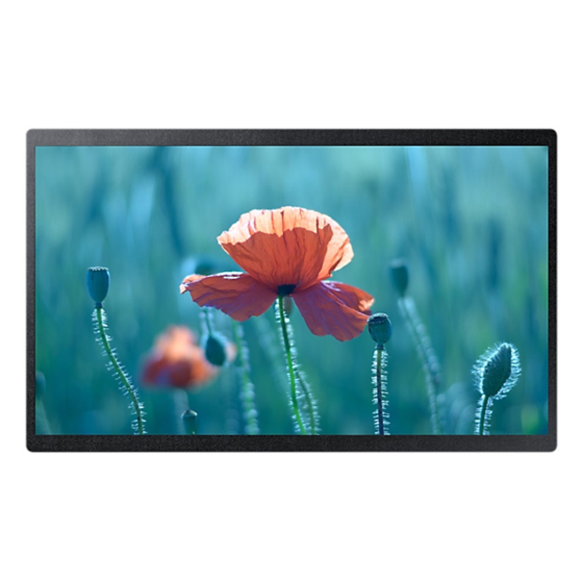 Pantalla Interactiva Samsung 13" Qbr-T Fhd Lh13Qbrtmgcxza