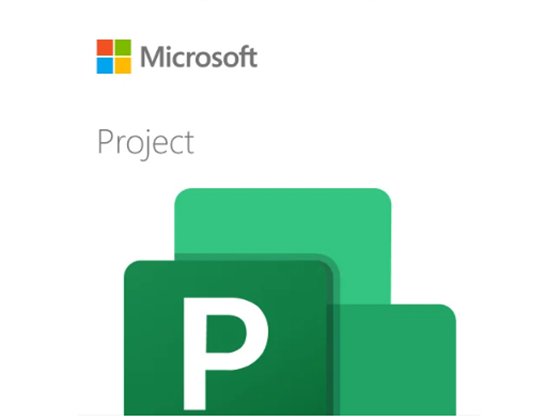 Licencia Microsoft Project Plan 3 Nce 1 Año Csp Electrónica